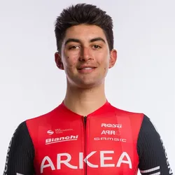 Nicolas Mileesi