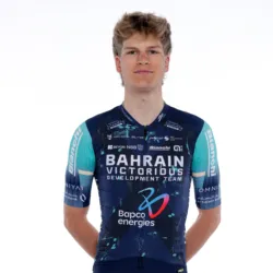 巴林特·费尔德霍夫