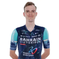 阿提拉·瓦尔特