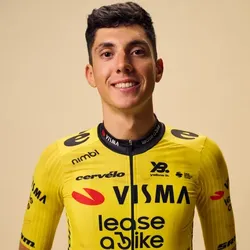 达维德·皮甘佐利