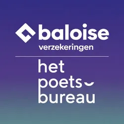 Baloise Verzekeringen - Het Poetsbureau Lions