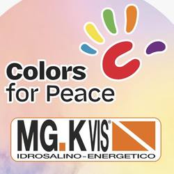 MG.K Vis Costruzioni E Ambiente